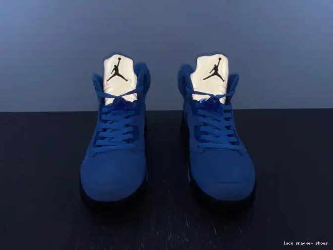 Rep LUCY 5 Jordan UNC DV1310-401 Air 0508